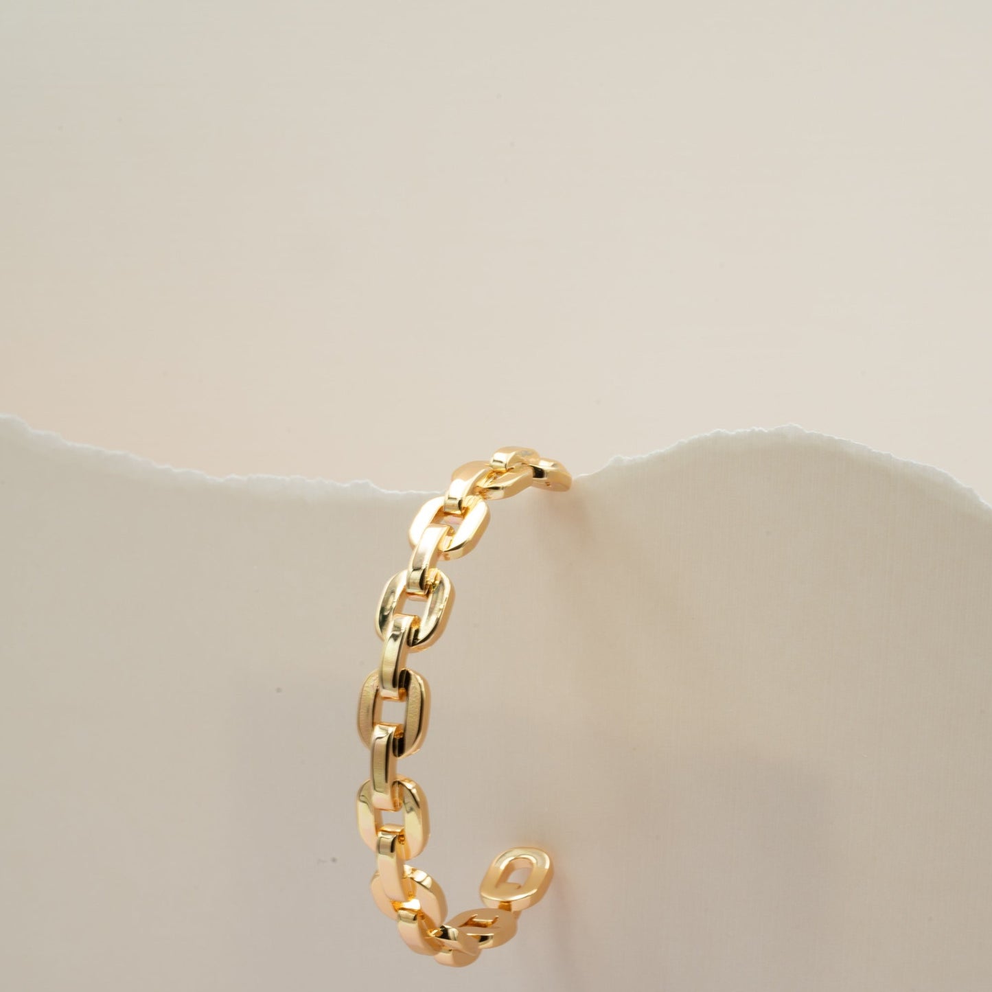 Chain Bracelet Gold-Photo 2